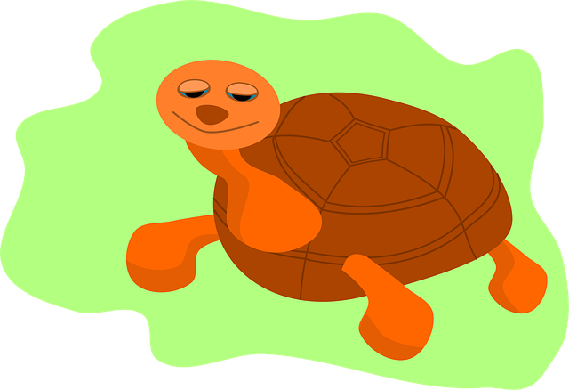 Free Turtle Animals vector and picture