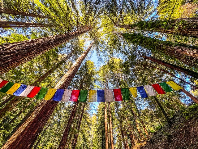 Candi Budha Doa Bendera Hutan - Foto gratis di Pixabay