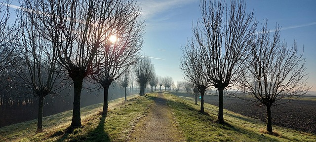 Free Sun Landscape photo and picture