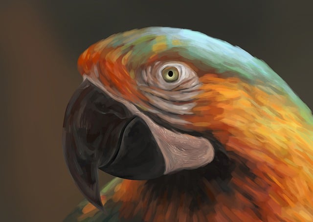 Download free HD stock image of Parrot Painting Free parrot painting nature illustration