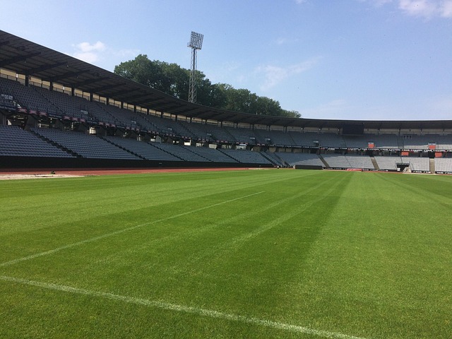 Football Stadium Green The Free photo on Pixabay Pixabay