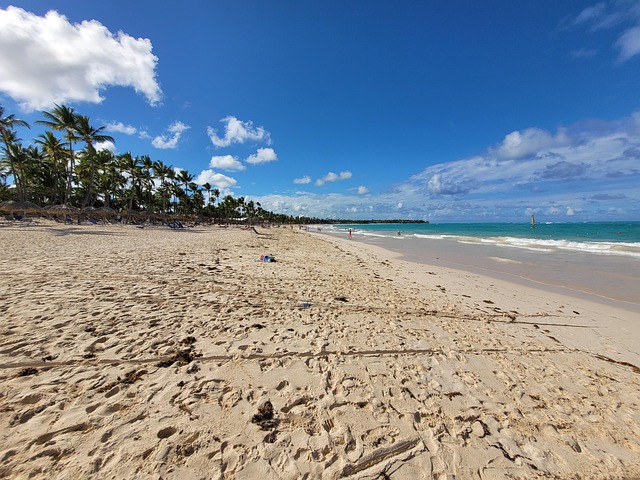 Free Beach Tropical photo and picture