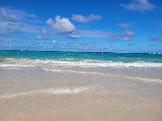 Free Beach Tropical photo and picture