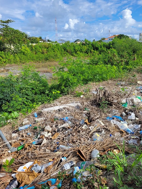 Free Garbage Landscape photo and picture