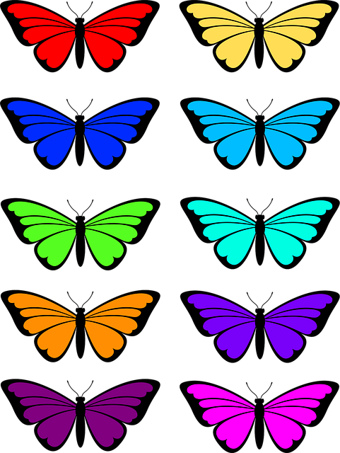 Free Butterfly Nature vector and picture