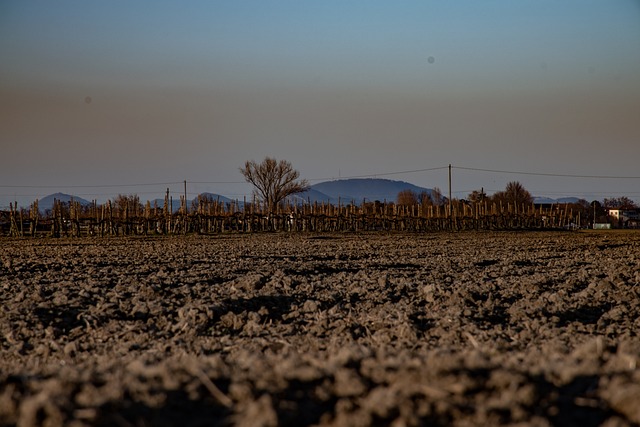 Landskabet, Polesine, Pianura Padana