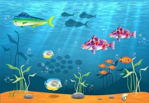 Oceano, Peixe, É, Mar, Marina, Natureza