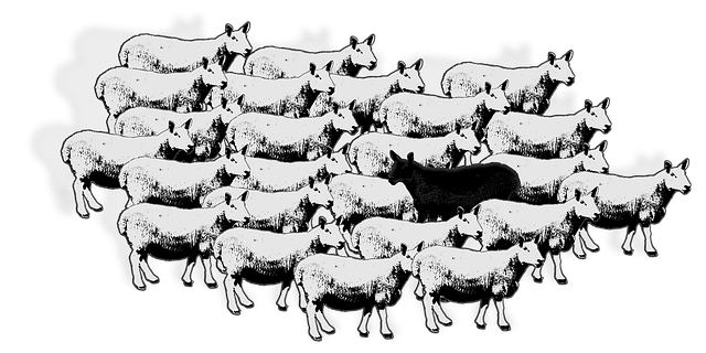 Free sheep flock dissent vector