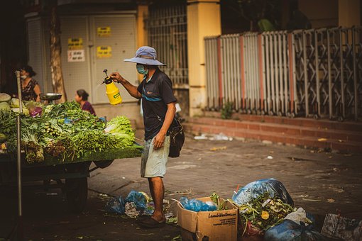 Free Vegetables Vendor photo and picture