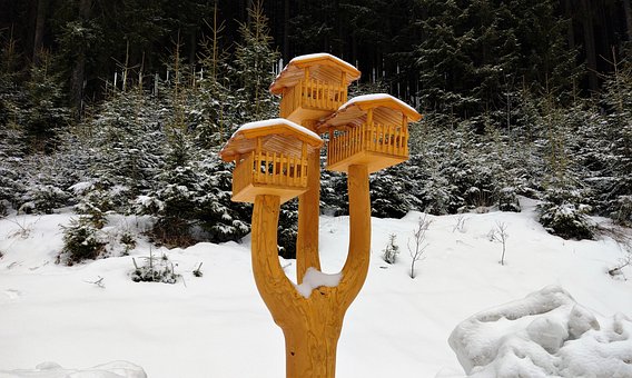 Free Winter Nature photo and picture