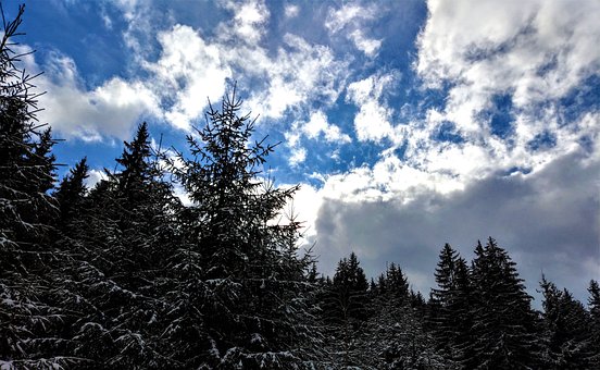 Free The Sky Background photo and picture