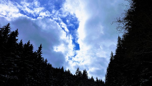 Free Winter The Snow photo and picture