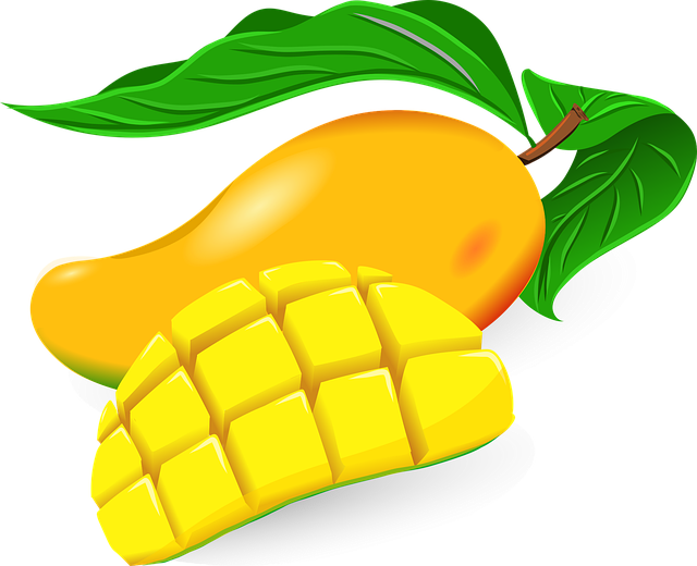 Free mango fruit ripe mango illustration