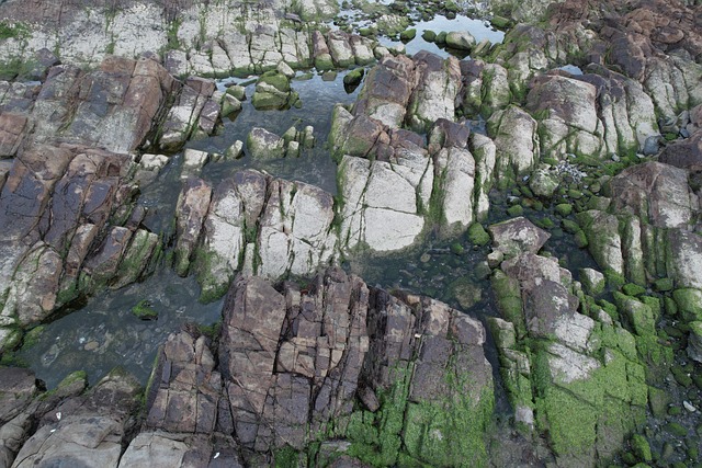 Free Rocks Coast photo and picture