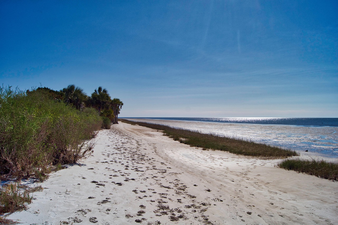 Praia Costa Florida - Foto gratuita no Pixabay - Pixabay