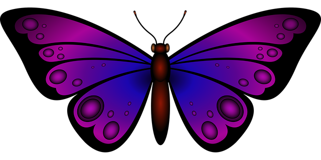 Free Insect Butterfly vector and picture