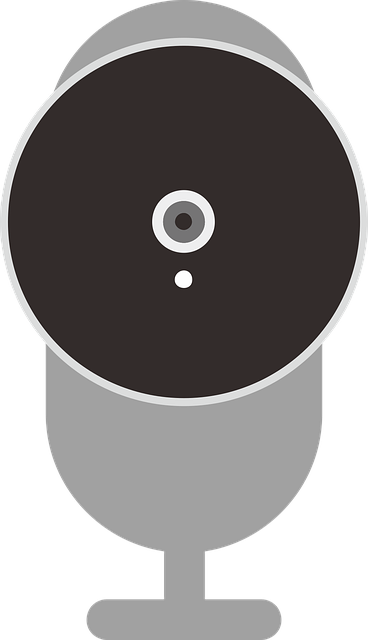 Free Camera Cctv vector and picture