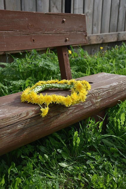 Free Flowers Wreath photo and picture