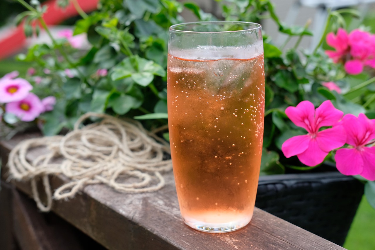 Drink Refreshment Beverage Free photo on Pixabay Pixabay