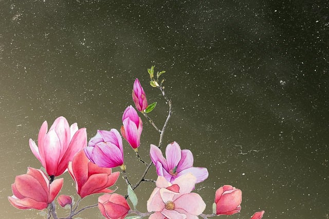 Download free HD stock image of Flower Artwork Free flower artwork clip art illustration