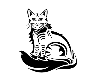 Kat, Maine, Coon, Dyr, Natur, Feline