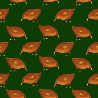 Free Kiwi Bird illustration and picture