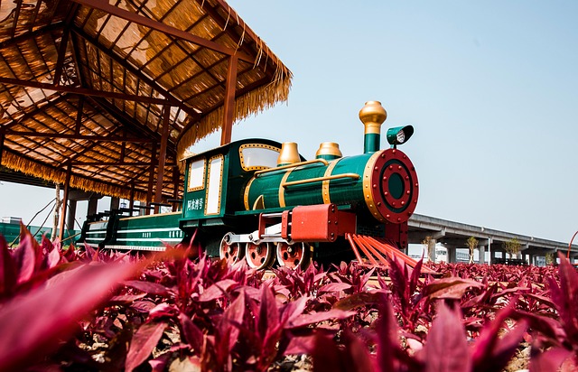 Free Train Mini Train photo and picture