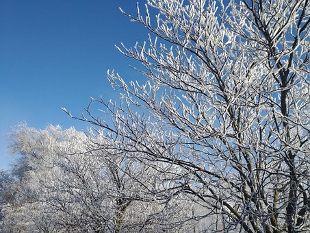 Free Crystal Winter photo and picture