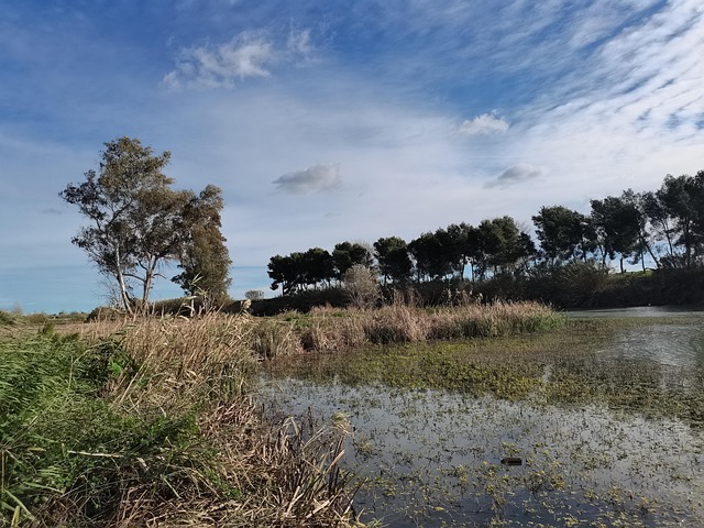 Azud Río Paisaje - Foto gratis en Pixabay - Pixabay