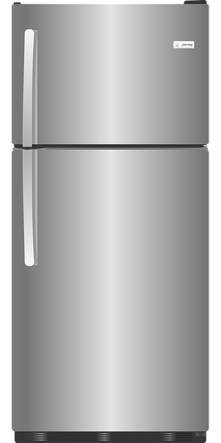 Free Refrigerator Fridge vector and picture