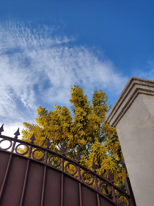 Gate Building Door - Free photo on Pixabay - Pixabay