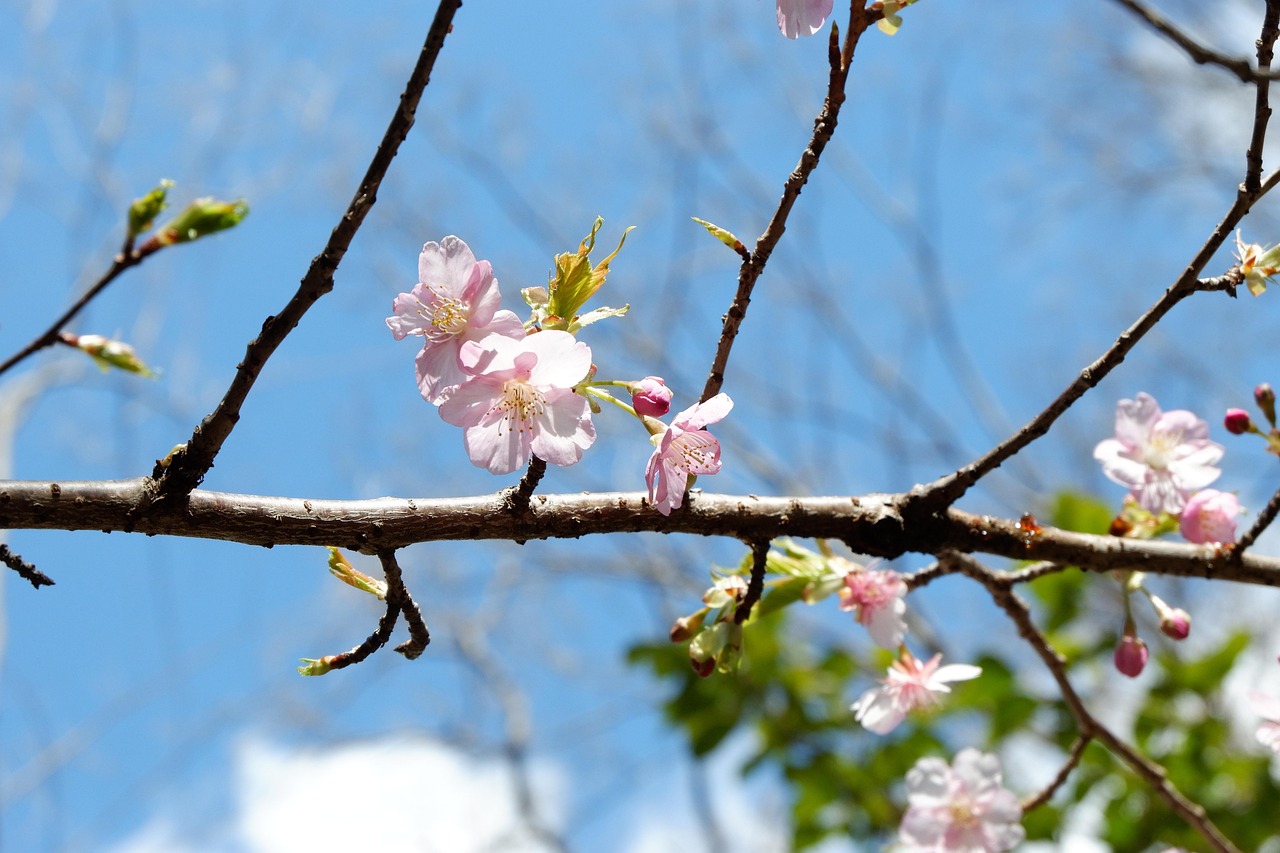 Flocons Aluminium Amifa Sakura - 30 Pièces - Fleurs De Cerisier - PET