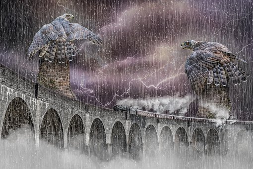 Free Hawks Storm photo and picture