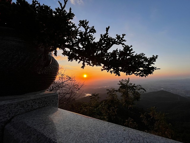Free Close Up The Scenery photo and picture