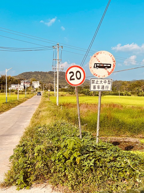 Free Road Rural Area photo and picture