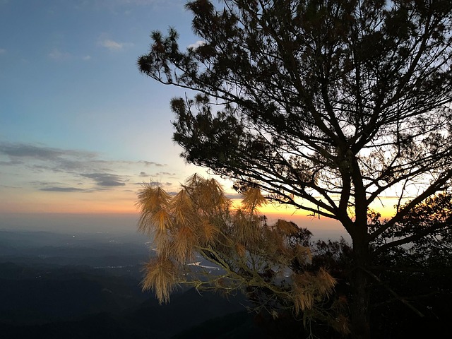 Free The Scenery Natural photo and picture