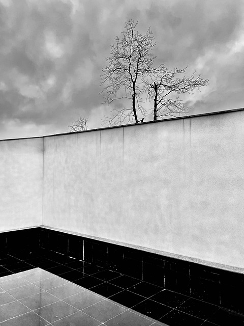 Free Wall Storm Clouds photo and picture