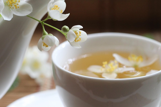 Free Jasmine Bloom photo and picture