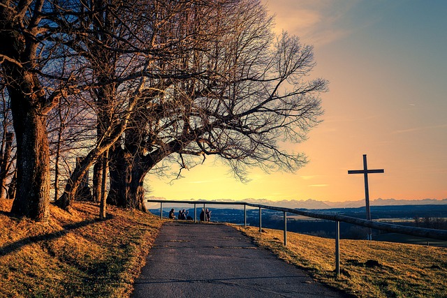 Road Cross Path 20,000+ Free Cross Path & Path Images - Pixabay