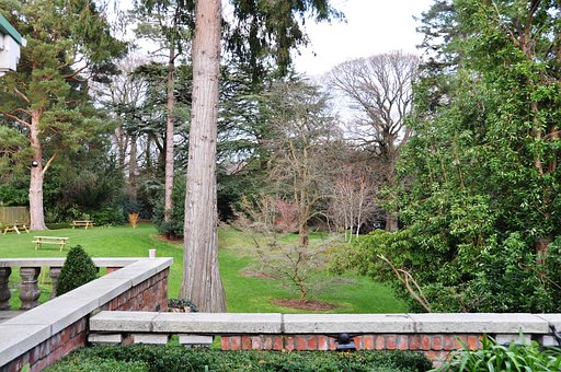Tuin, Ierland, Landschap