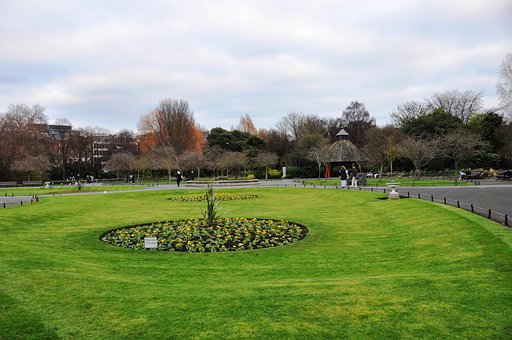 Park, Ierland, Landschap