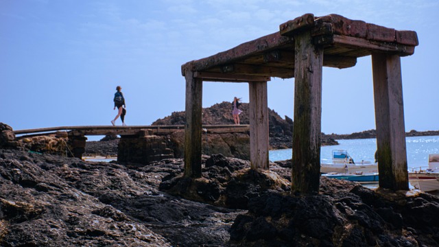 Free Tourist Tourism photo and picture
