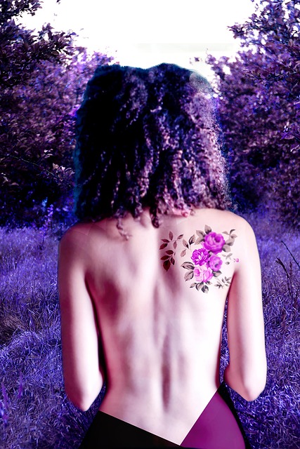 Free Back Forest photo and picture