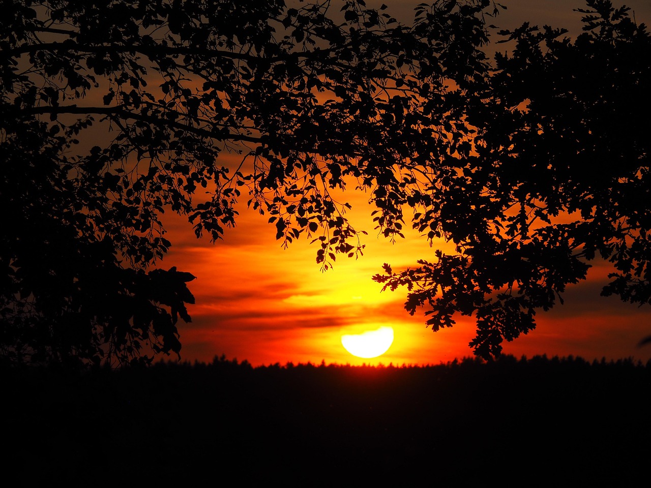 auringonlasku-aurinko-iltarusko-ilmainen-valokuva-pixabayssa