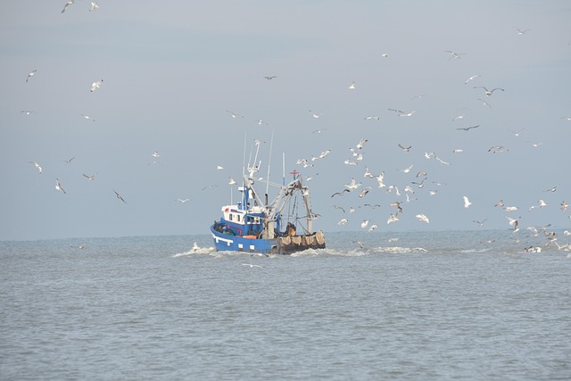Boot, Meer, Segel, Ozean, Abenteuer