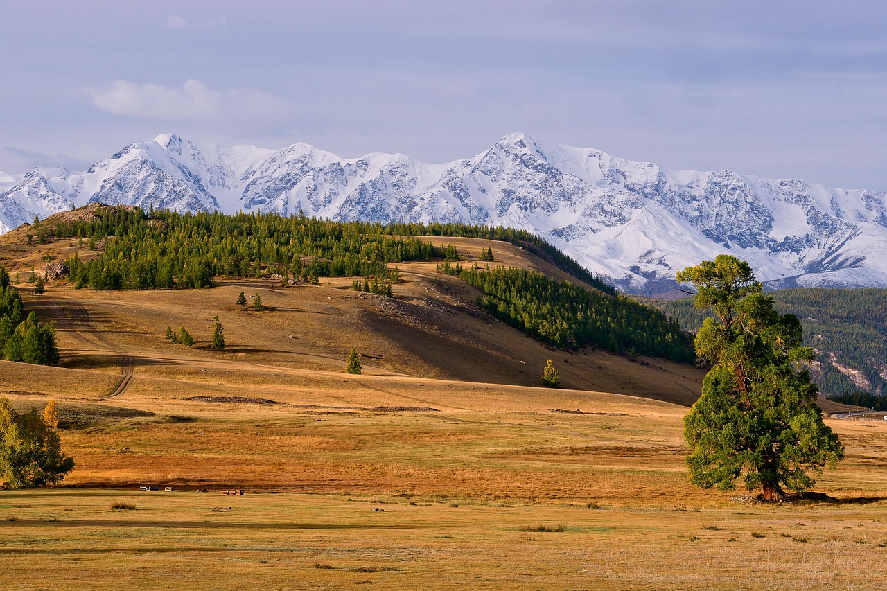 Altai - free online jigsaw puzzle photo