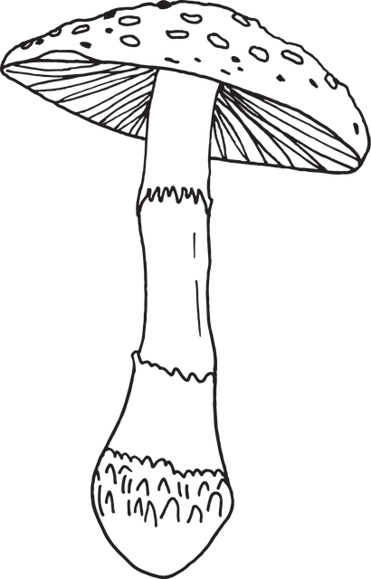 Free Mushroom Cartoon vector and picture