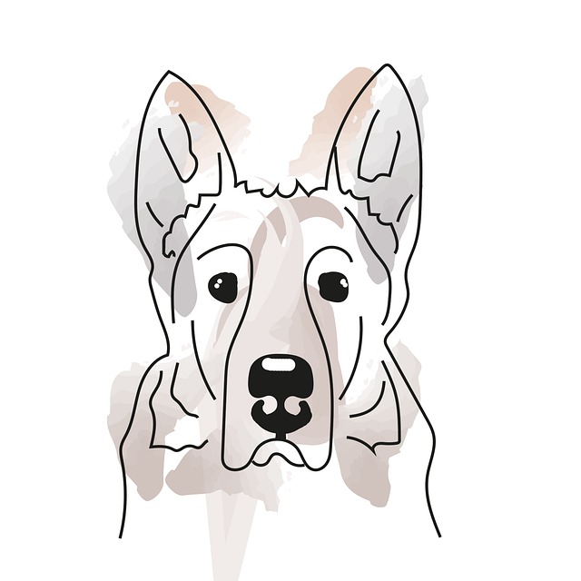 Free dog canine pet illustration