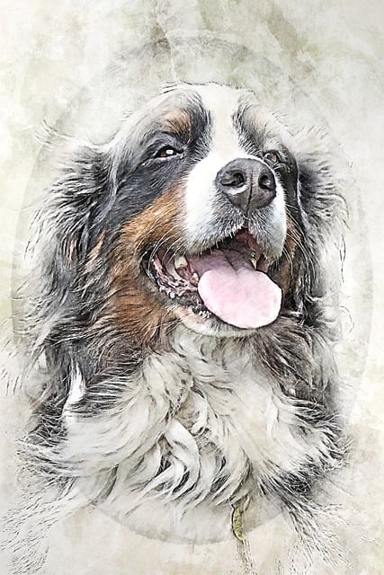 Free bernese mountain dog nature dog illustration