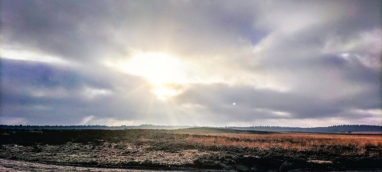 Free Nature Field photo and picture